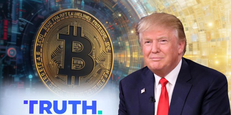 ترامپ یکی از بهترین صاحبان بیت کوین است