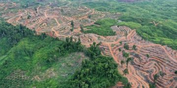 دو تلاش پس انداز با پنجره ملی مدیریت زمین